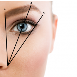 design-brows-1 design-brows-1